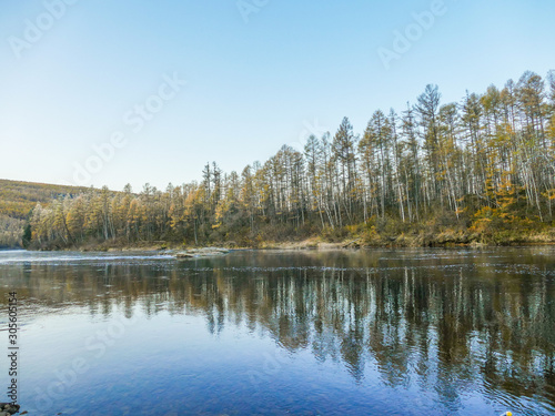 trees and frost on the river Bank in autumn