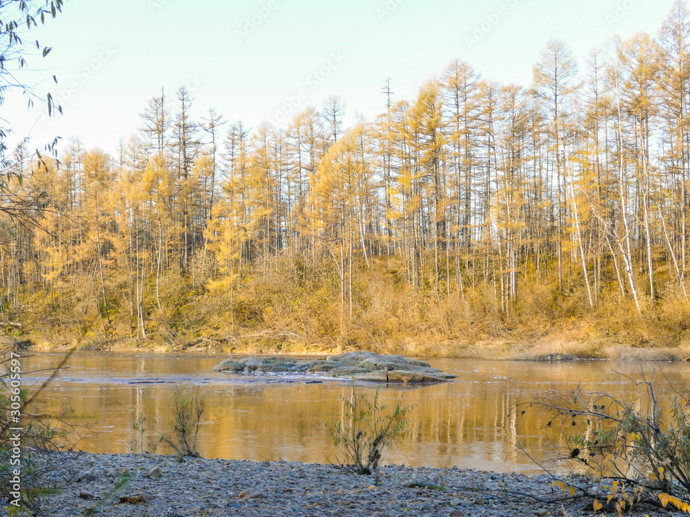 Rock in the middle of the river on the background of autumn forest Rock in the middle of the river on the background of autumn forest