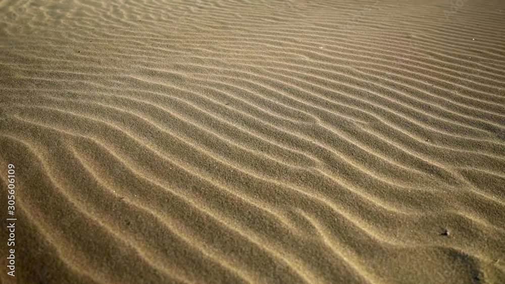 Panning close up shot of wind blowing sand across textured beach Panning close up shot of wind blowing sand across textured beach