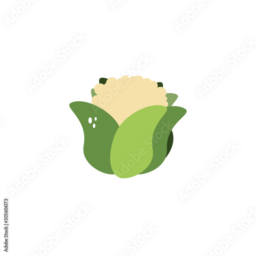 vegetable cauliflower flat style icon