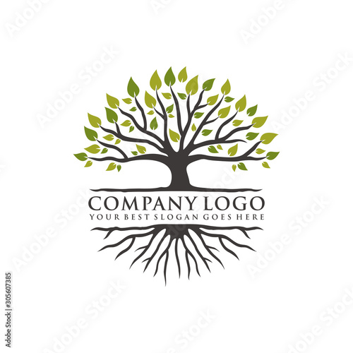 inspiring the concept of tree logos and vibrant roots, vector eps 10