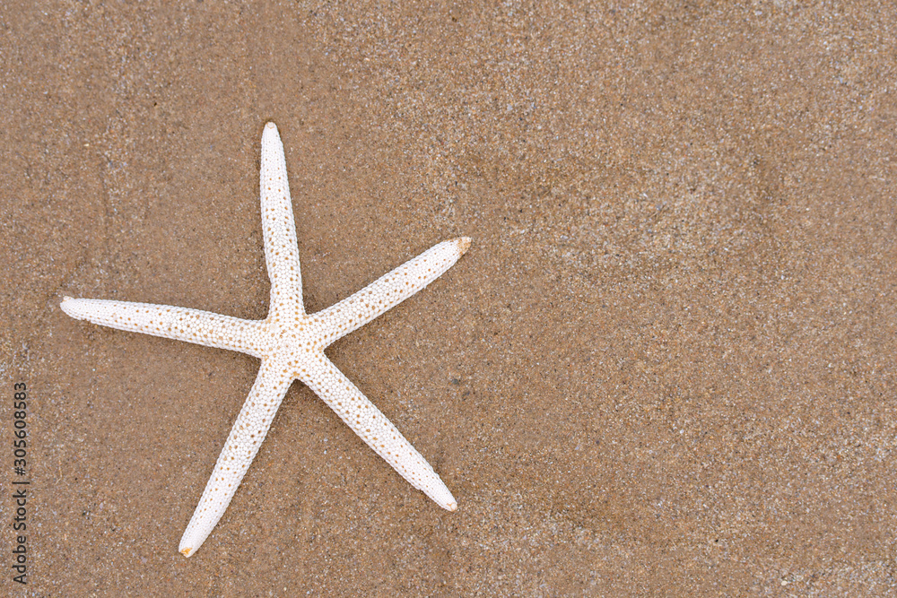 Starfish on sandy beach in summer with sea background Starfish on sandy beach in summer with sea background