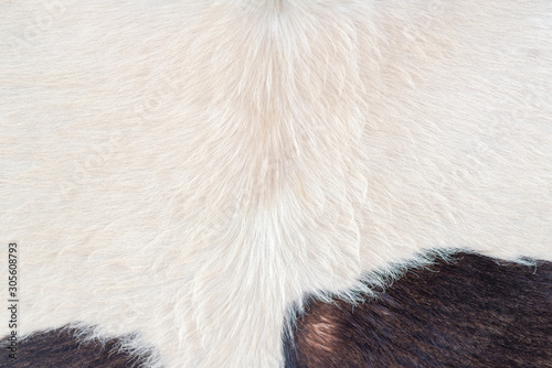 Texture of brown Cow or black cowhide animal real fur background