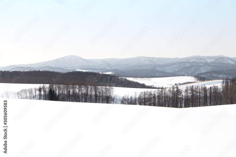 Landscape view of beautiful white winter scenery, field and trees covered with snow, snowy mountains background in Biei, Hokkaido, Japan