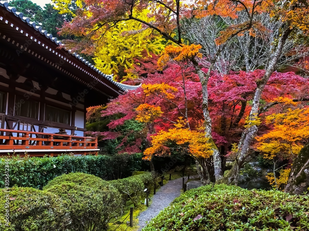 Vibrant autumn colors and traditional architecture in Kyoto, Japan.