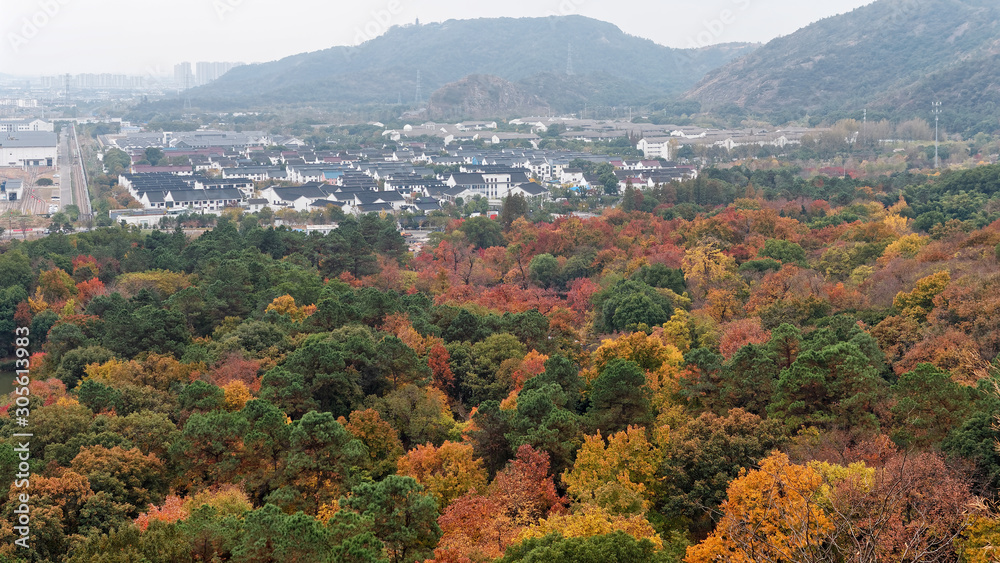 High angle view of the colorful autumn maple trees forest with mountains and city buildings, Tianping mountain in Suzhou is famous for its autumn landscape.