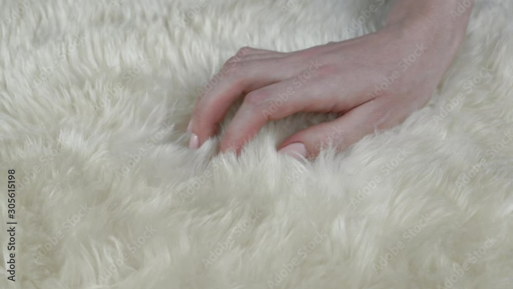 Female hand touching fluffy texture of real animal fur. Closeup of a hand stroking natural fluffy, warm and soft wool. tenderness and wealth concept.mp4 Female hand touching fluffy texture of real animal fur. Closeup of a hand stroking natural fluffy, warm and soft wool. tenderness and wealth concept.mp4