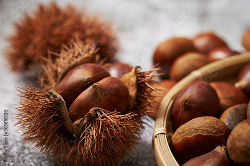 Konstfotografi Chestnuts with shell and spikes