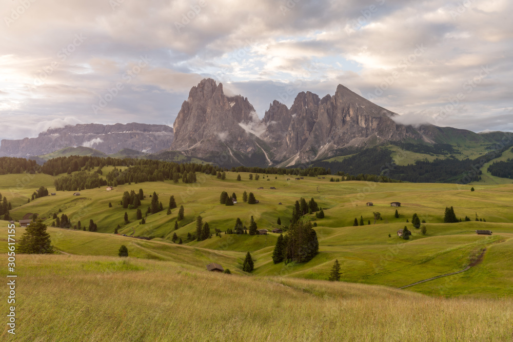 Sunrise and with morning mist among the meadow in Alpe di Siusi, Natural landscapes in Dolomites, Italy