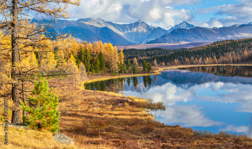 View of the forest lake, Altai, Siberia. Bright autumn day. Taiga, beautiful sky and reflection in the water.
