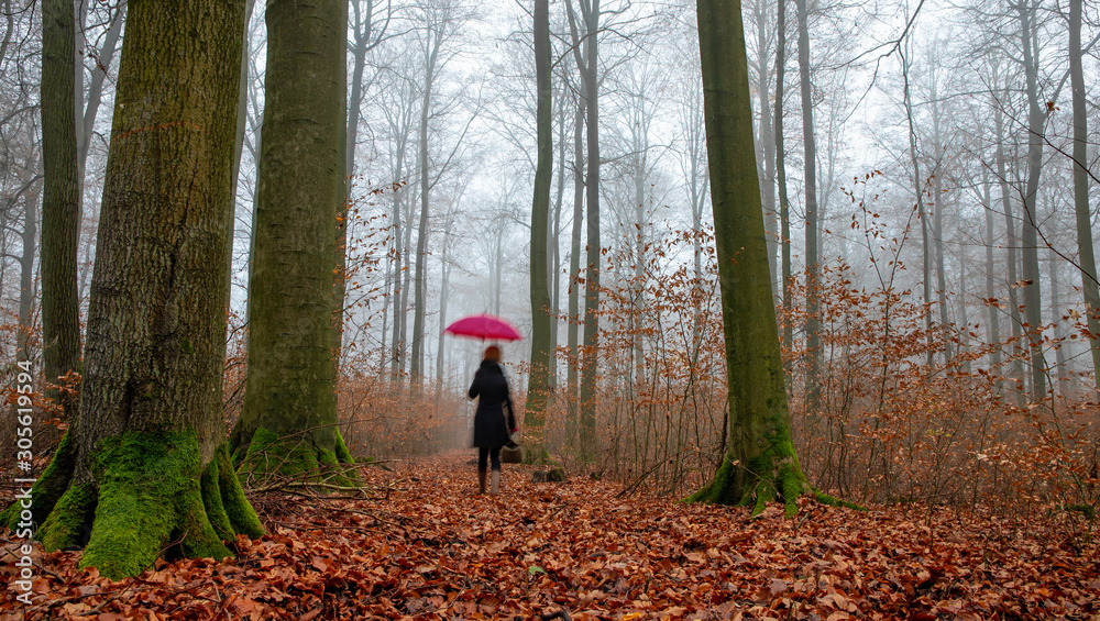 A woman with red umbrella and bag is in a forest. She walks alone among old trees. Concept: loneliness A woman with red umbrella and bag is in a forest. She walks alone among old trees. Concept: loneliness