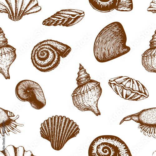 vector seamless seashell pattern isolated on white. vintage Hand drawn background of various beautiful engraved mollusk marine shells. Realistic sketch of cockleshell like conch, oyster, clam, scallop
