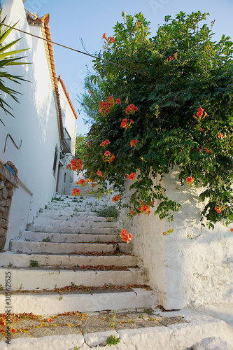 Staircase with flowers. Street on the island of Poros. Greece.