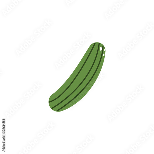 vegetable cucumber flat style icon
