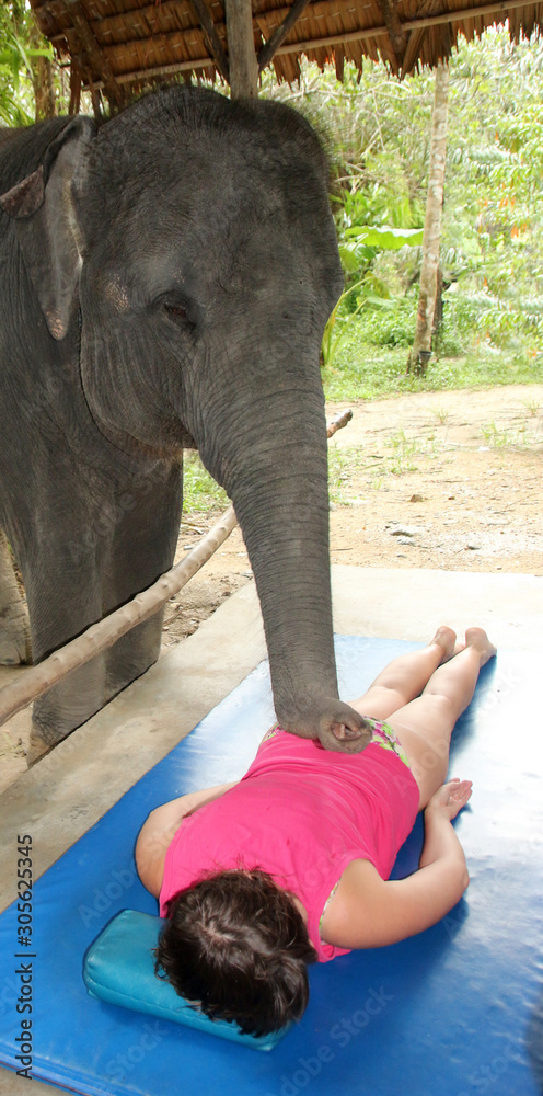 Elephant massage, a tourist getting elephant massage, Phuket, Thailand  Stock-foto | Adobe Stock