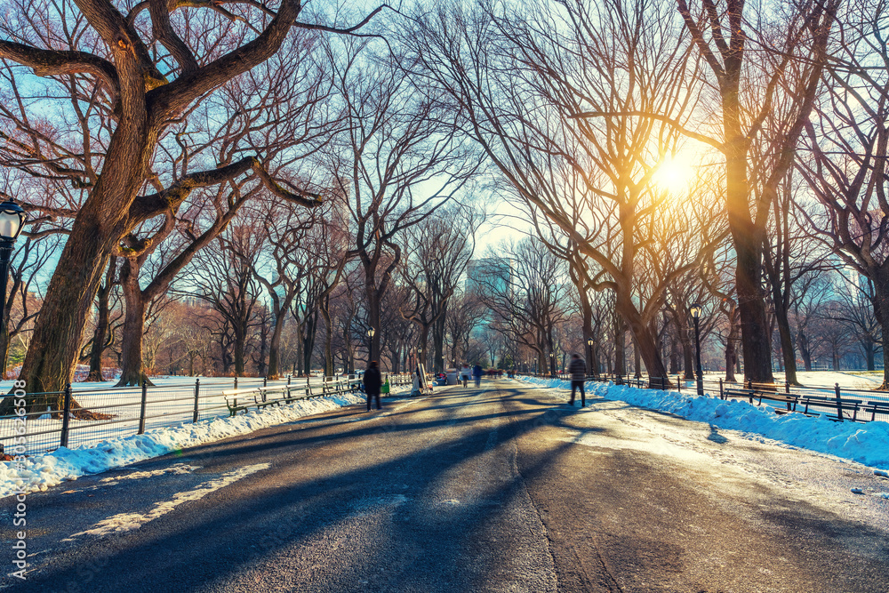 The mall in central park at sunny winter day, New York City, USA