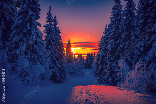 Cold winter day sunset landscape with snowy trees. Photo from Sotkamo, Finland. Background Heavy snow view. © ville