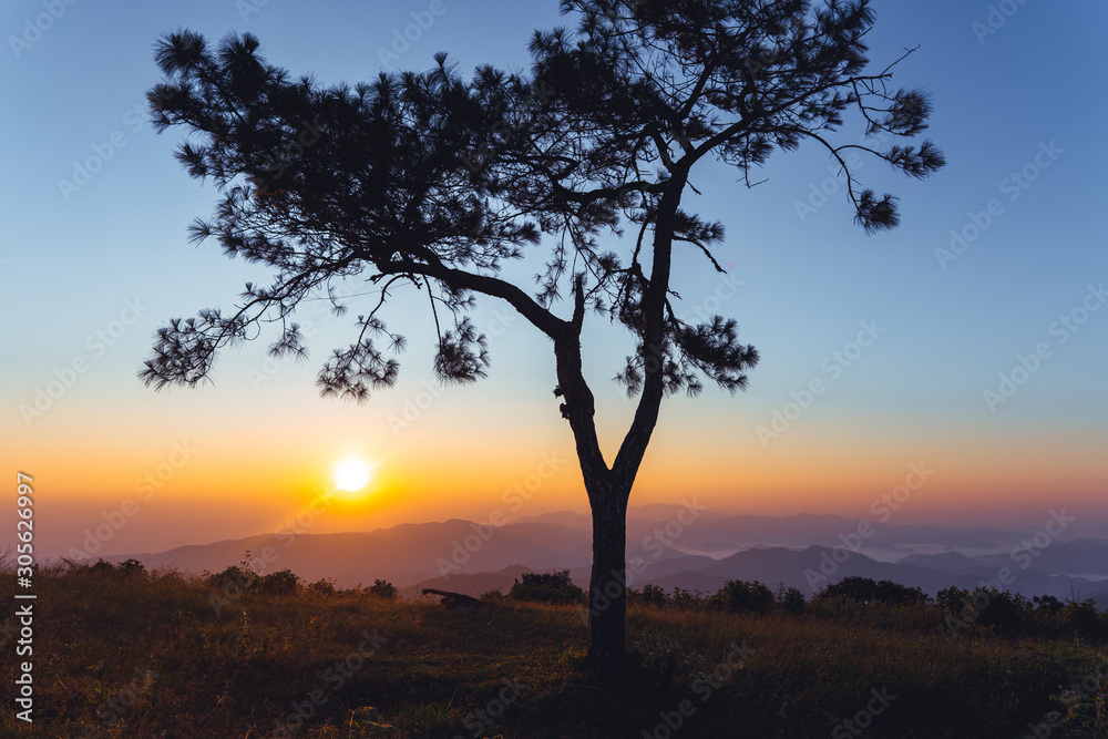 Morning light, sunrise on the mountain - morning nature