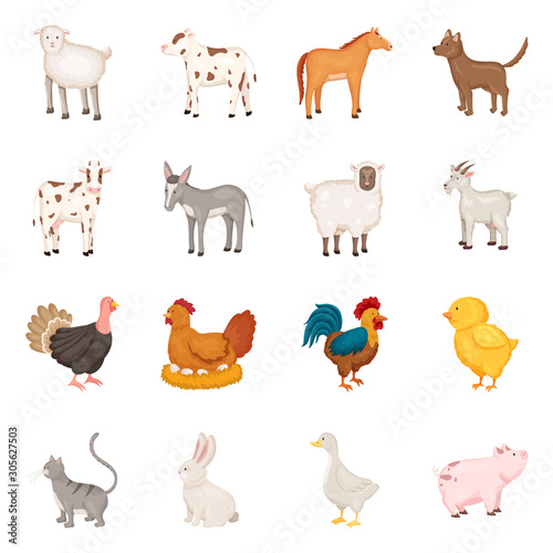 Isolated object of farm and food icon. Collection of farm and countryside stock vector illustration.