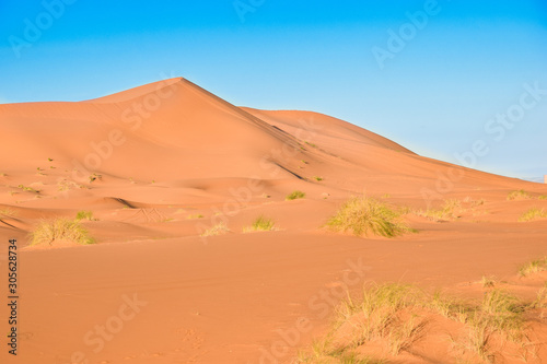 Sahara Desert, dunes in Morocco