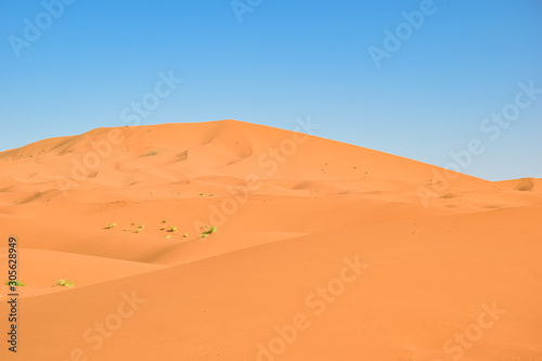 Sahara Desert, dunes in Morocco