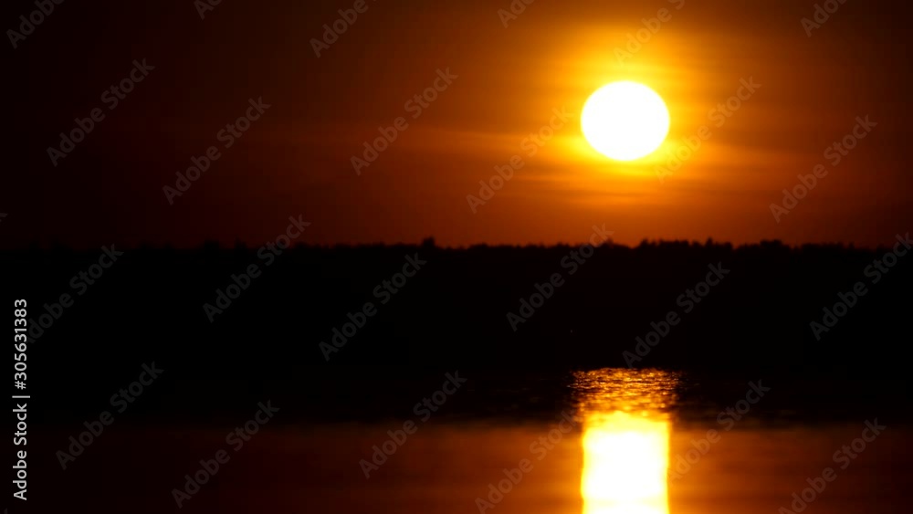 High contrast shot of sunset at lake in forest, bird fly by against blazing sun disk. Shimmering sunlight reflection on water, dark trees on background. High contrast shot of sunset at lake in forest, bird fly by against blazing sun disk. Shimmering sunlight reflection on water, dark trees on background.