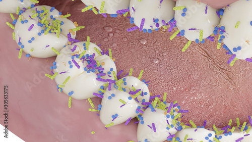 3d rendered conceptual illustration showing the bacteria on the teeth