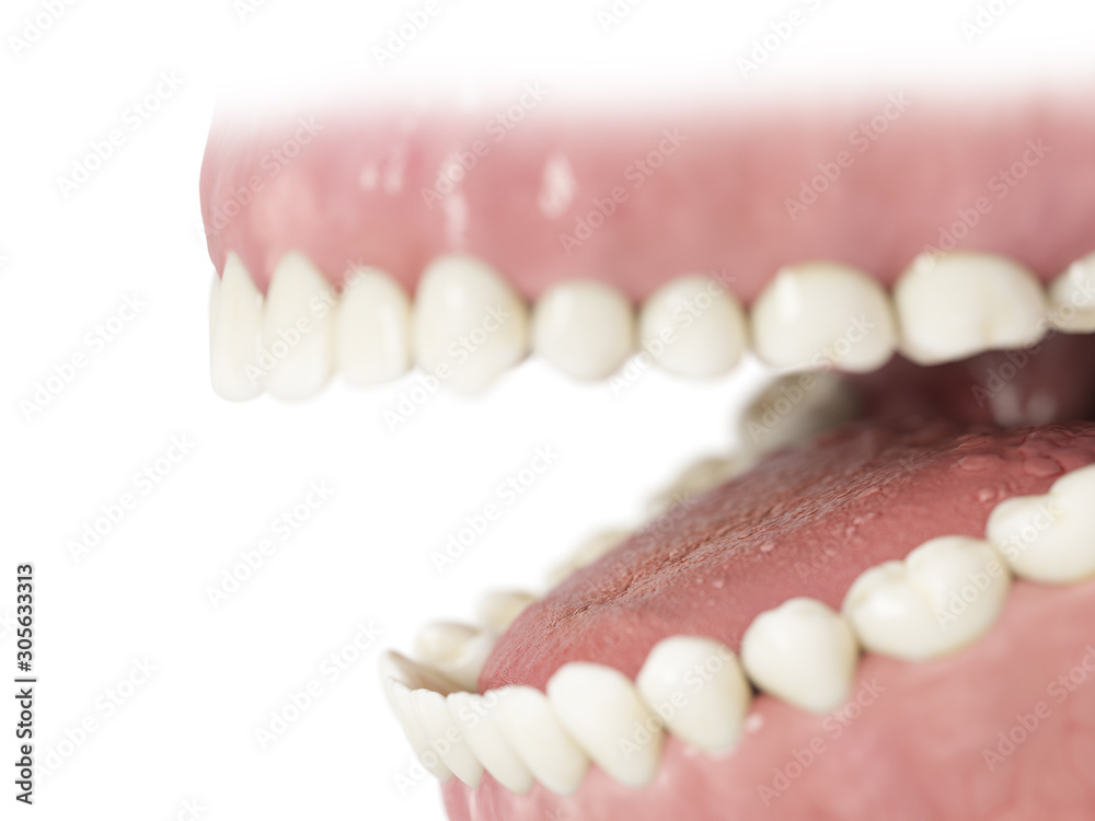 Obraz premium 3d rendered illustration of the human teeth
