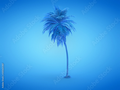 3d rendered illustration of a blue palm tree © Sebastian Kaulitzki