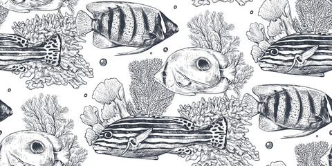 Fototapete Maritime Tiermuster Monochromes Tropenfische Muster Maritim  © natality