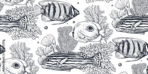 Vector monochrome seamless sea pattern with tropical fish