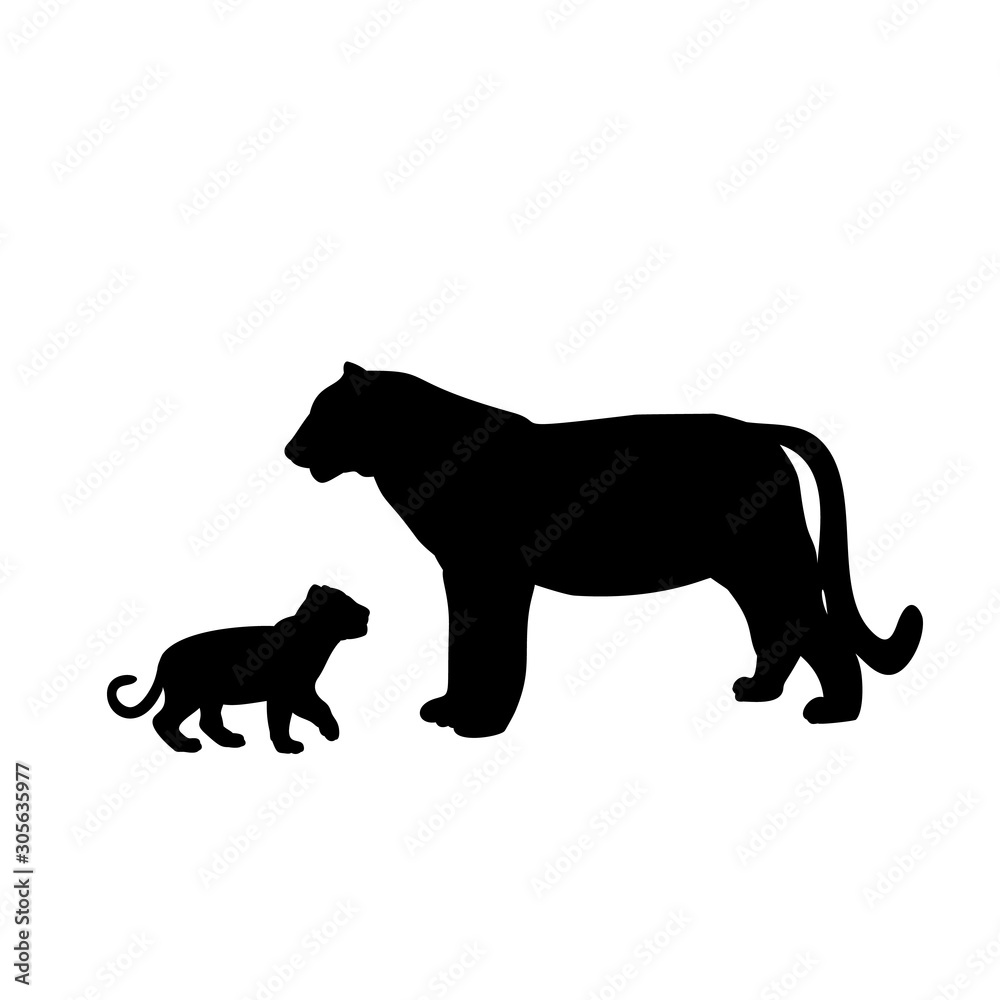 Silhouette of tiger and young tiger cub