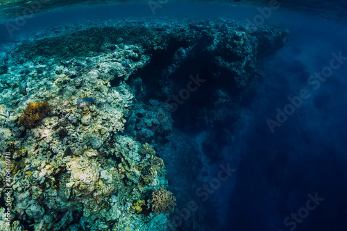 Underwater rocks with coral and fish in blue transparent ocean. National park Menjangan island