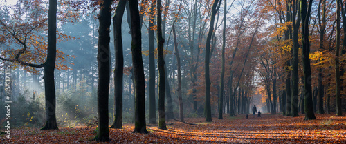 Fototapeta Naklejka Na Ścianę i Meble -  mother and child walk the dog in autumnal forest near zeist in the netherlands