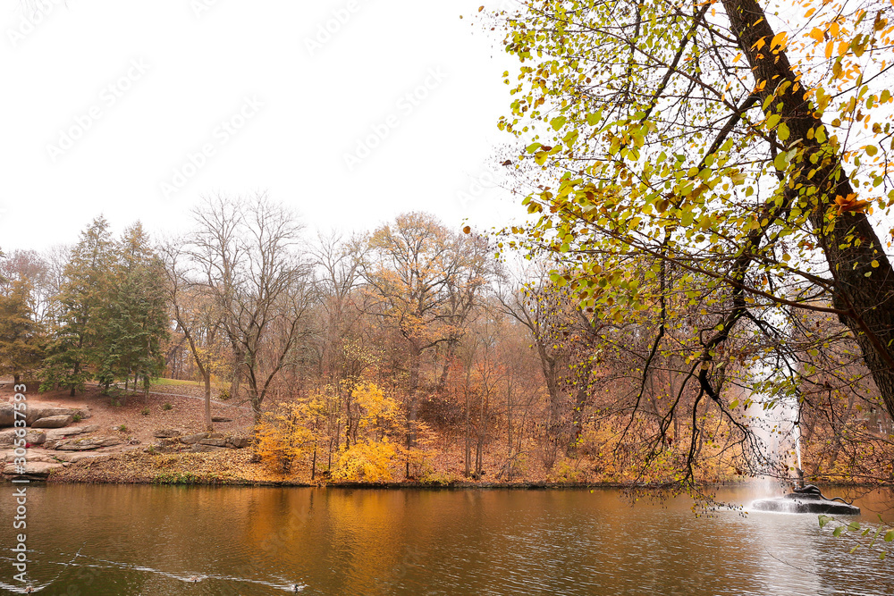 Obraz premium View of beautiful pond in autumn park