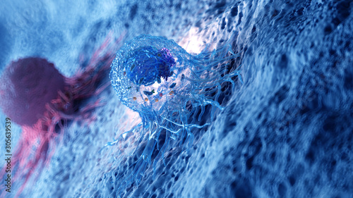 3d rendered illustration of the anatomy of a cancer cell