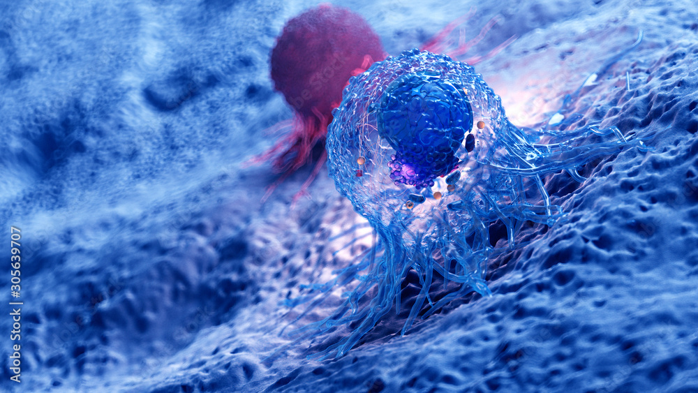 3d rendered illustration of the anatomy of a cancer cell - obrazy, fototapety, plakaty 