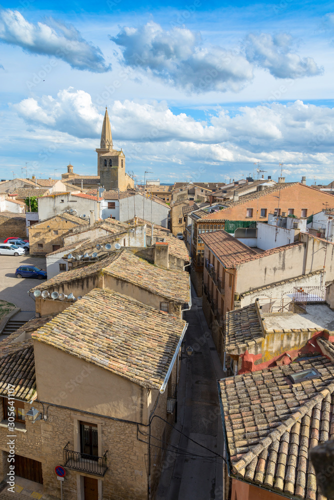 Spanish town Olite with a cathedral, view from above