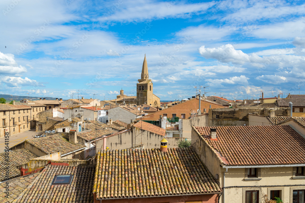 Spanish town Olite with a cathedral, view from above