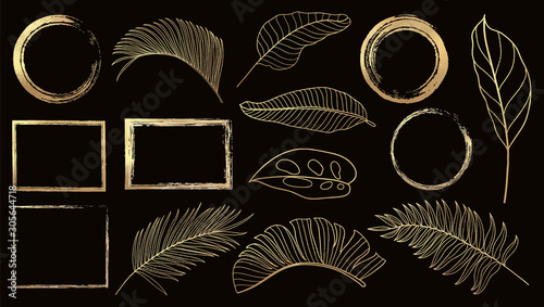 Gold frame and golden tropical leaves vector set. Gold design element for cover, cards, wedding invitation cards pattern and background decoration.