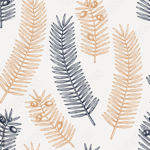 European yew vector background. Evergreen tree botanical drawing. Hand drawn conifer plant seamless pattern.  photo