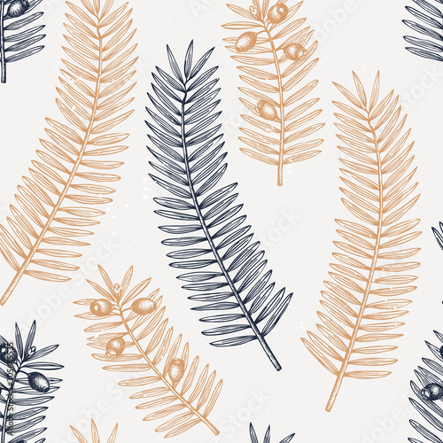 European yew vector background. Evergreen tree botanical drawing. Hand drawn conifer plant seamless pattern. 