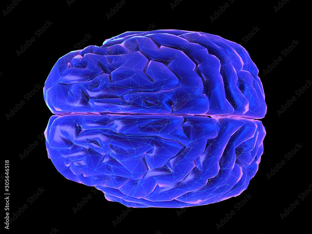 3d rendered synthwave style illustration of a human brain 3d rendered synthwave style illustration of a human brain