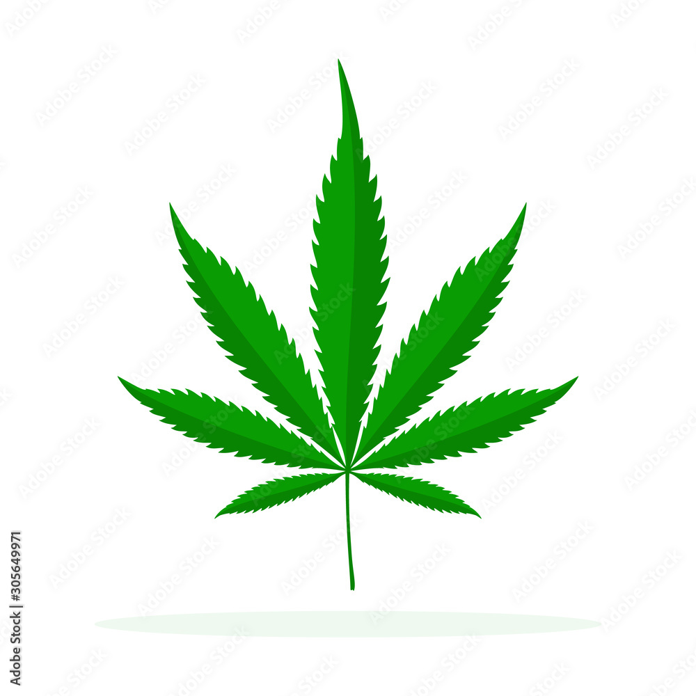 Cannabis vector icon isolated. Cannabis vector icon isolated.