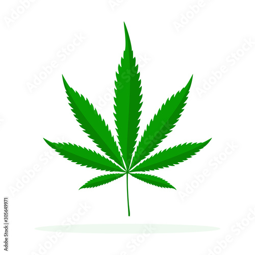 Cannabis vector icon isolated.