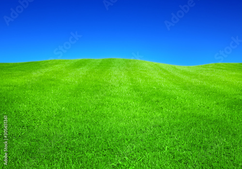 green grass and blue sky © BVpix