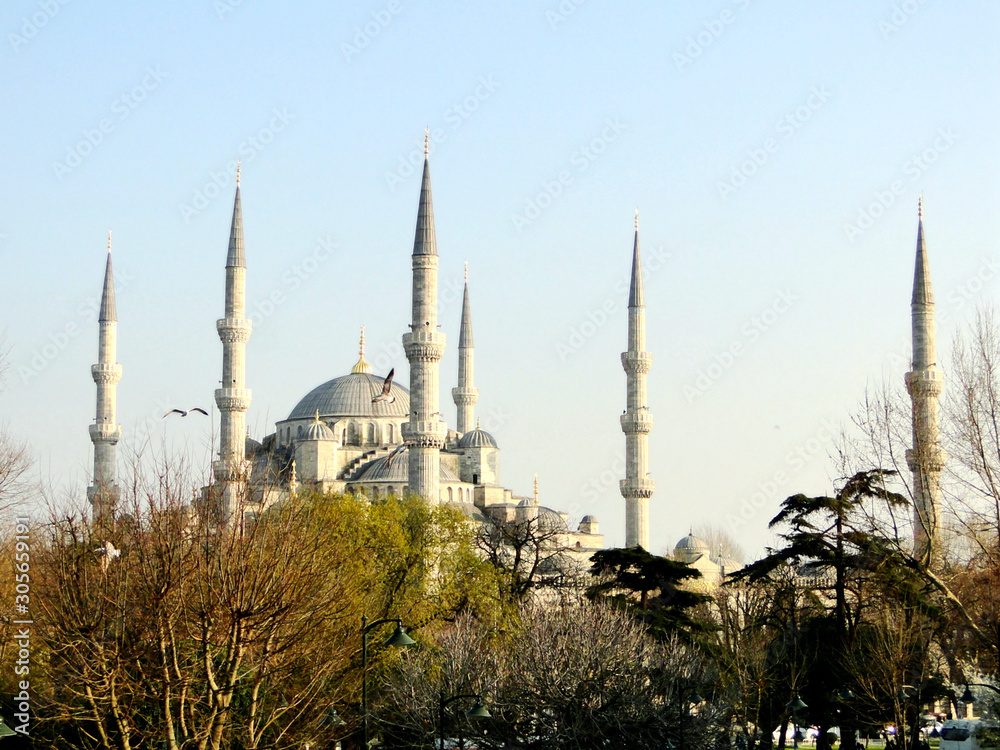 Panoramic view of Blue Mosque in Istanbul in Turkey, with trees and flying bird in background during sunset.