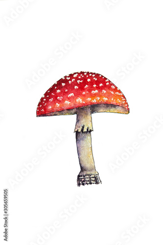 Watercolor red fly agaric. Poisonous toxic mushroom isolated on white background. Handmade watercolor. Red fly agaric illustration.