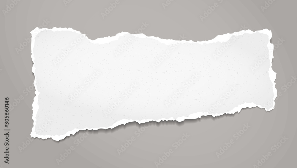 Piece of torn, white realistic grainy horizontal paper strip with soft shadow is on grey background. Vector illustration Piece of torn, white realistic grainy horizontal paper strip with soft shadow is on grey background. Vector illustration