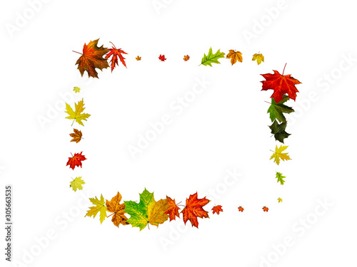 Leaves background. Autumn season pattern isolated on white background. Thanksgiving concept